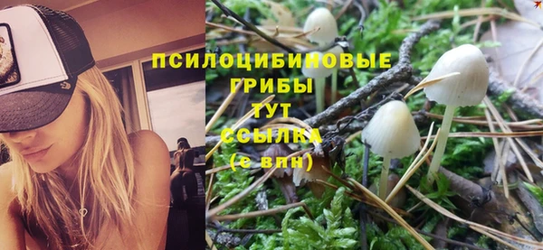 COCAINE Алзамай